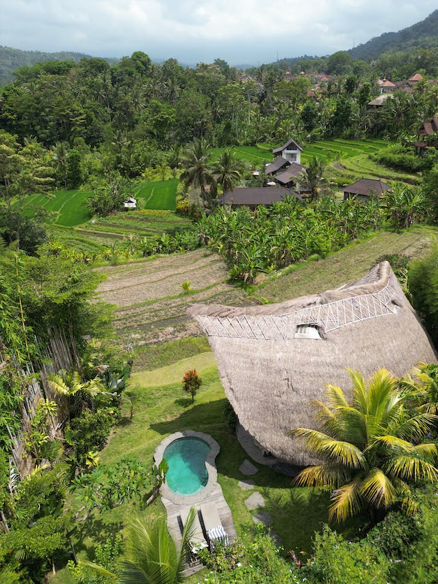 Bali honeymoon villa on rice paddy